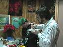 christmas food party